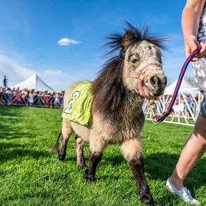 Meet your Posher, Jillian